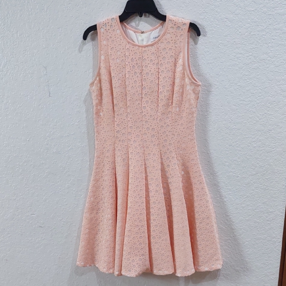 Calvin Klein Elegant Sleeveless Lace Dress in Soft Pink